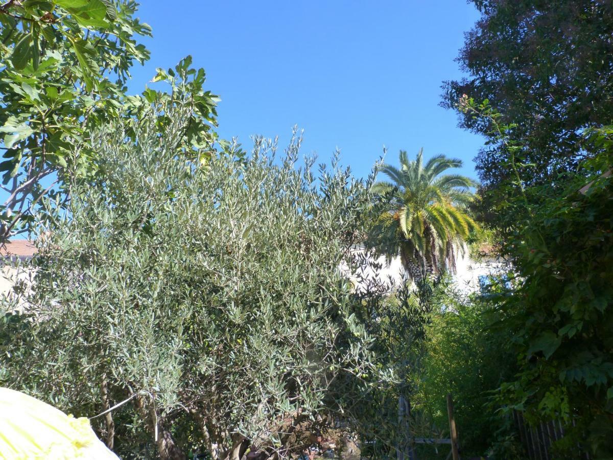 La Summer House Avec Jardin Arles Exterior photo